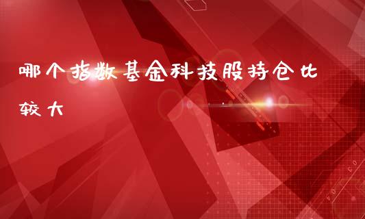 哪个指数基金科技股持仓比较大_https://m.gongyisiwang.com_财经咨询_第1张