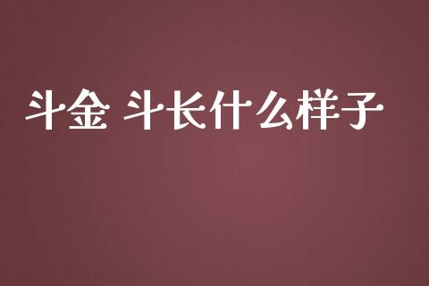 斗金 斗长什么样子_https://m.gongyisiwang.com_债券咨询_第1张