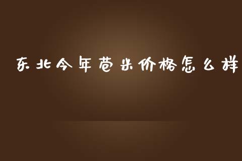 东北今年苞米价格怎么样_https://m.gongyisiwang.com_信托投资_第1张