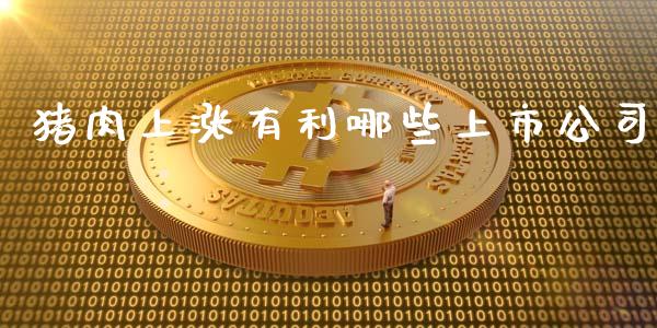 猪肉上涨有利哪些上市公司_https://m.gongyisiwang.com_理财投资_第1张