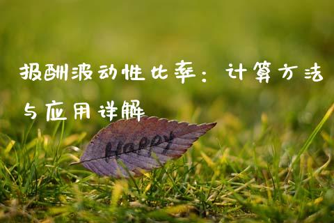 报酬波动性比率：计算方法与应用详解_https://m.gongyisiwang.com_债券咨询_第1张