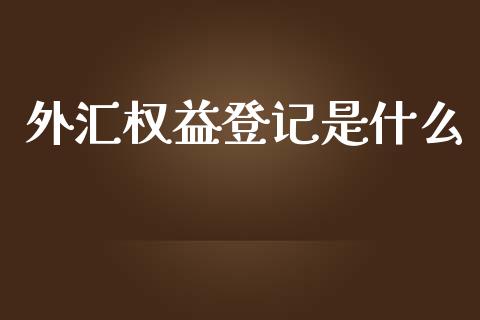 外汇权益登记是什么_https://m.gongyisiwang.com_信托投资_第1张