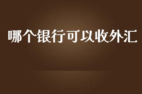 哪个银行可以收外汇_https://m.gongyisiwang.com_财经咨询_第1张