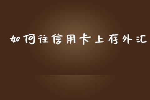 如何往信用卡上存外汇_https://m.gongyisiwang.com_财经时评_第1张