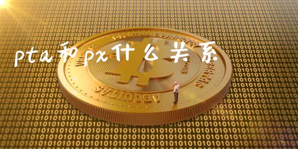 pta和px什么关系_https://m.gongyisiwang.com_信托投资_第1张