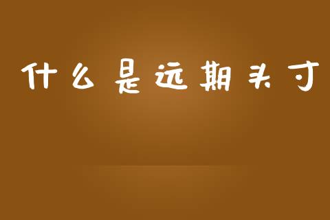 什么是远期头寸_https://m.gongyisiwang.com_债券咨询_第1张