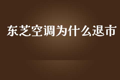 东芝空调为什么退市_https://m.gongyisiwang.com_商业资讯_第1张