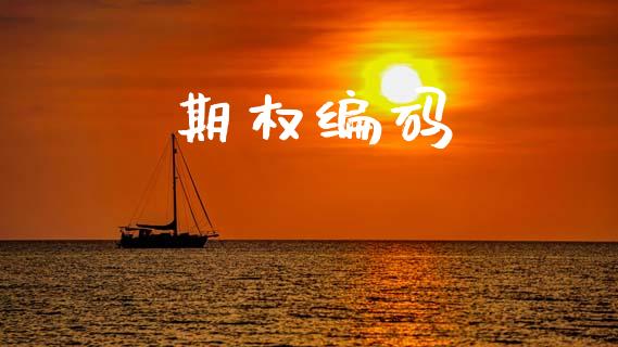 期权编码_https://m.gongyisiwang.com_债券咨询_第1张