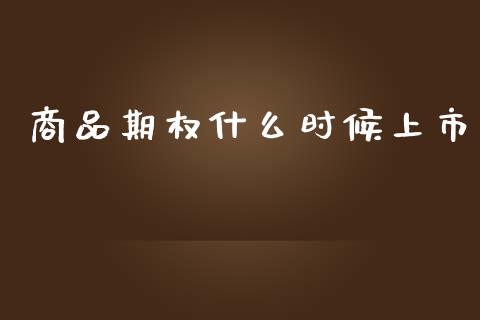 商品期权什么时候上市_https://m.gongyisiwang.com_债券咨询_第1张