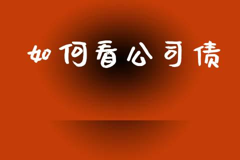 如何看公司债_https://m.gongyisiwang.com_财经咨询_第1张