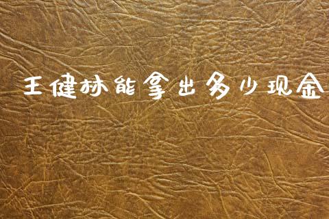 王健林能拿出多少现金_https://m.gongyisiwang.com_理财投资_第1张