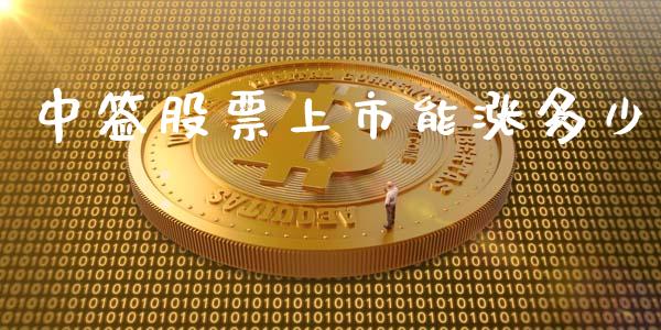 中签股票上市能涨多少_https://m.gongyisiwang.com_理财投资_第1张