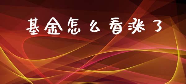 基金怎么看涨了_https://m.gongyisiwang.com_理财产品_第1张