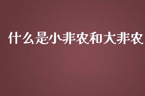 什么是小非农和大非农_https://m.gongyisiwang.com_财经时评_第1张