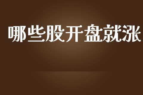 哪些股开盘就涨_https://m.gongyisiwang.com_保险理财_第1张