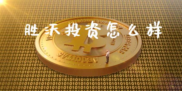 胜沃投资怎么样_https://m.gongyisiwang.com_商业资讯_第1张