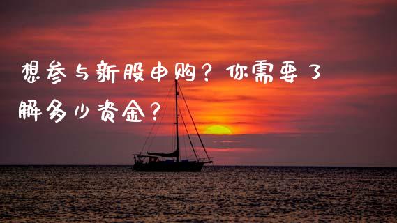 想参与新股申购？你需要了解多少资金？_https://m.gongyisiwang.com_理财投资_第1张