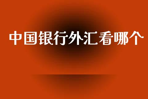 中国银行外汇看哪个_https://m.gongyisiwang.com_理财投资_第1张