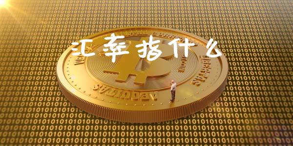 汇率指什么_https://m.gongyisiwang.com_信托投资_第1张