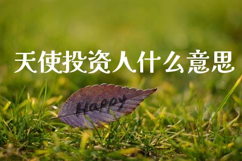 天使投资人什么意思_https://m.gongyisiwang.com_财经咨询_第1张