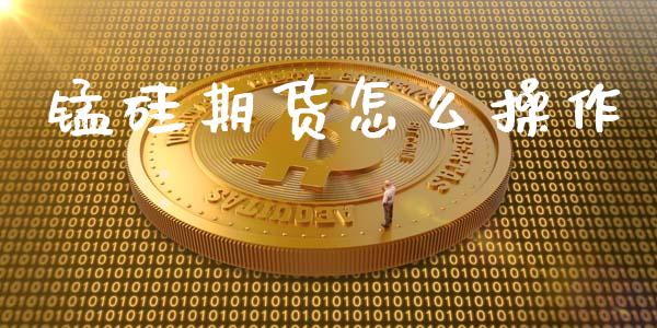 锰硅期货怎么操作_https://m.gongyisiwang.com_财经时评_第1张