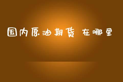 国内原油期货 在哪里_https://m.gongyisiwang.com_财经时评_第1张