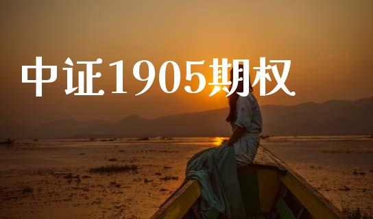 中证1905期权_https://m.gongyisiwang.com_债券咨询_第1张