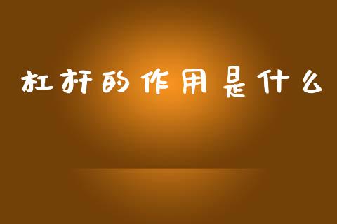 杠杆的作用是什么_https://m.gongyisiwang.com_财经咨询_第1张