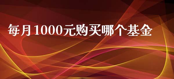 每月1000元购买哪个基金_https://m.gongyisiwang.com_财经咨询_第1张