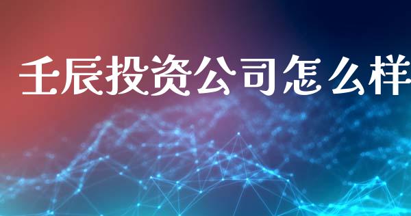 壬辰投资公司怎么样_https://m.gongyisiwang.com_保险理财_第1张