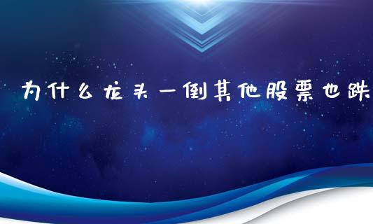 为什么龙头一倒其他股票也跌_https://m.gongyisiwang.com_财经咨询_第1张