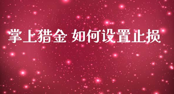 掌上猎金 如何设置止损_https://m.gongyisiwang.com_保险理财_第1张