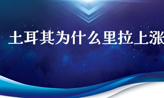 土耳其为什么里拉上涨_https://m.gongyisiwang.com_保险理财_第1张