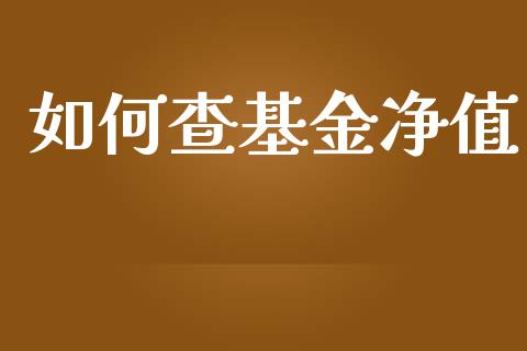 如何查基金净值_https://m.gongyisiwang.com_商业资讯_第1张