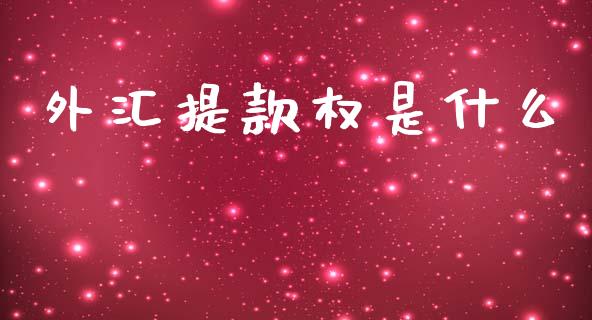 外汇提款权是什么_https://m.gongyisiwang.com_债券咨询_第1张