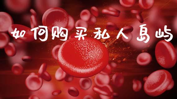 如何购买私人岛屿_财经时评_第1张_财经咨询_财经时评_理财产品_商业资讯 如何购买私人岛屿_https://m.gongyisiwang.com_财经时评_第1张