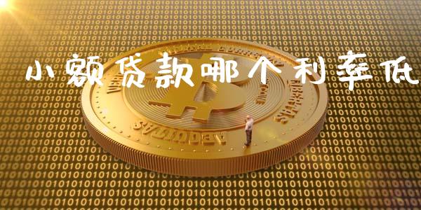 小额贷款哪个利率低_https://m.gongyisiwang.com_理财投资_第1张