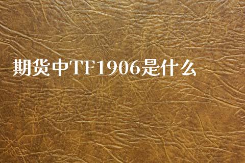 期货中TF1906是什么_https://m.gongyisiwang.com_理财投资_第1张