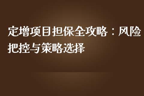 定增项目担保全攻略：风险把控与策略选择_https://m.gongyisiwang.com_理财投资_第1张
