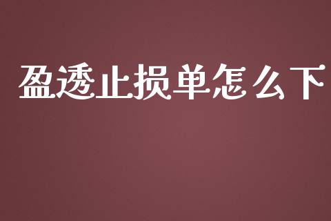 盈透止损单怎么下_https://m.gongyisiwang.com_理财产品_第1张