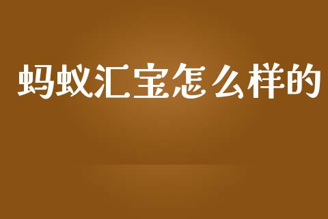 蚂蚁汇宝怎么样的_https://m.gongyisiwang.com_财经时评_第1张