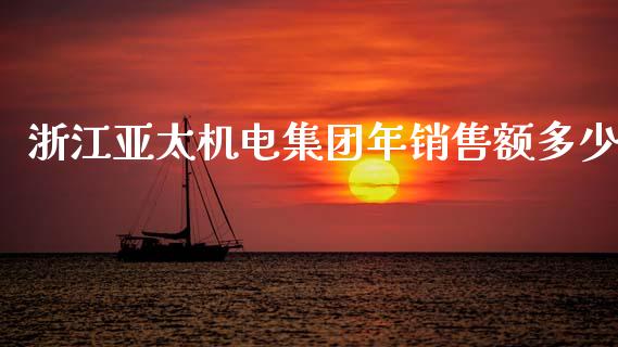 浙江亚太机电集团年销售额多少_https://m.gongyisiwang.com_理财投资_第1张