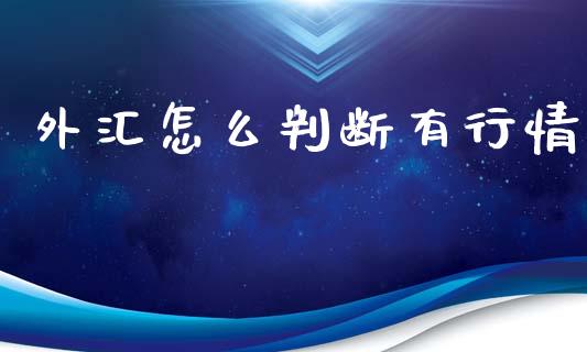 外汇怎么判断有行情_https://m.gongyisiwang.com_信托投资_第1张