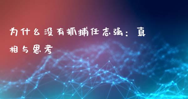 为什么没有抓捕任志强：真相与思考_https://m.gongyisiwang.com_商业资讯_第1张