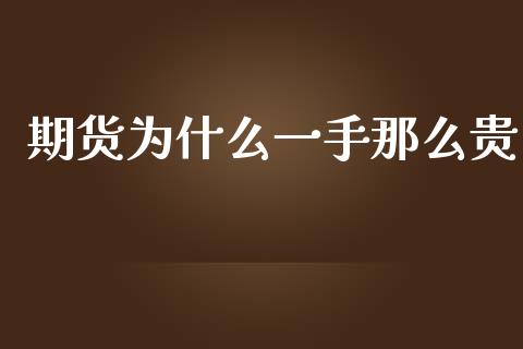 期货为什么一手那么贵_https://m.gongyisiwang.com_债券咨询_第1张