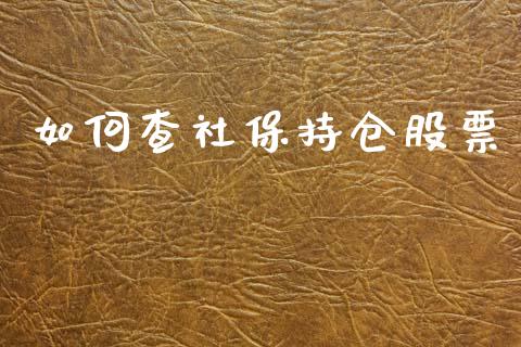 如何查社保持仓股票_https://m.gongyisiwang.com_理财产品_第1张