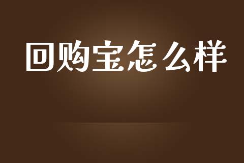 回购宝怎么样_https://m.gongyisiwang.com_保险理财_第1张