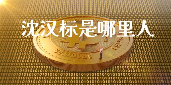 沈汉标是哪里人_https://m.gongyisiwang.com_债券咨询_第1张