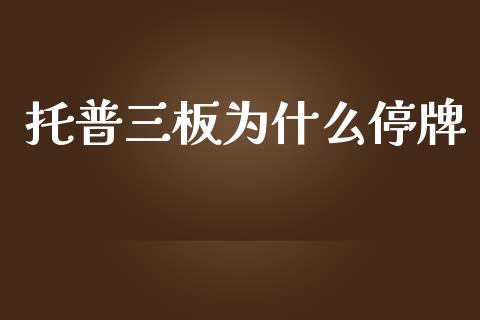 托普三板为什么停牌_https://m.gongyisiwang.com_理财产品_第1张