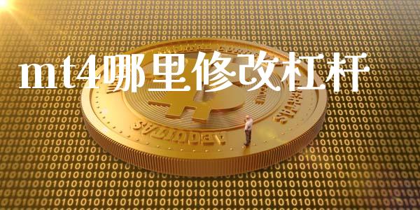 mt4哪里修改杠杆_https://m.gongyisiwang.com_财经时评_第1张